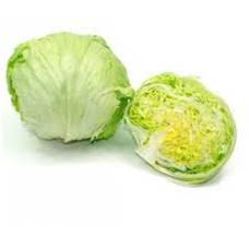 Lechuga iceberg