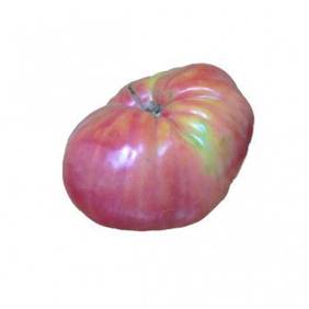 Tomate rosa