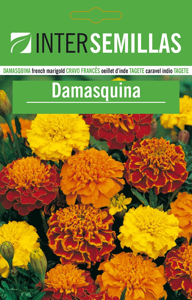 Damasquina