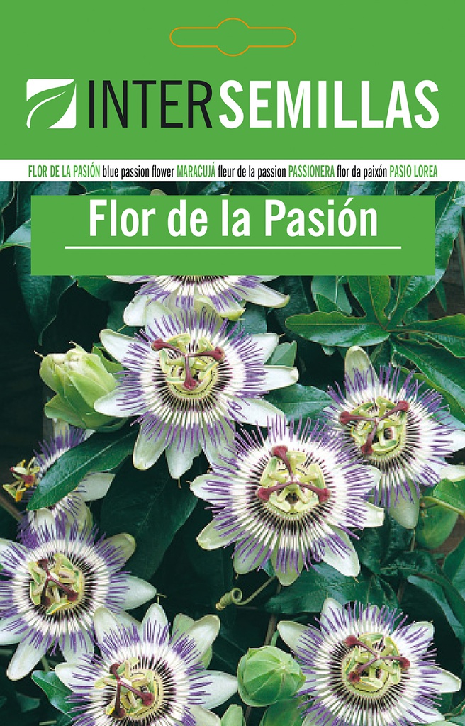 Flor de la pasión