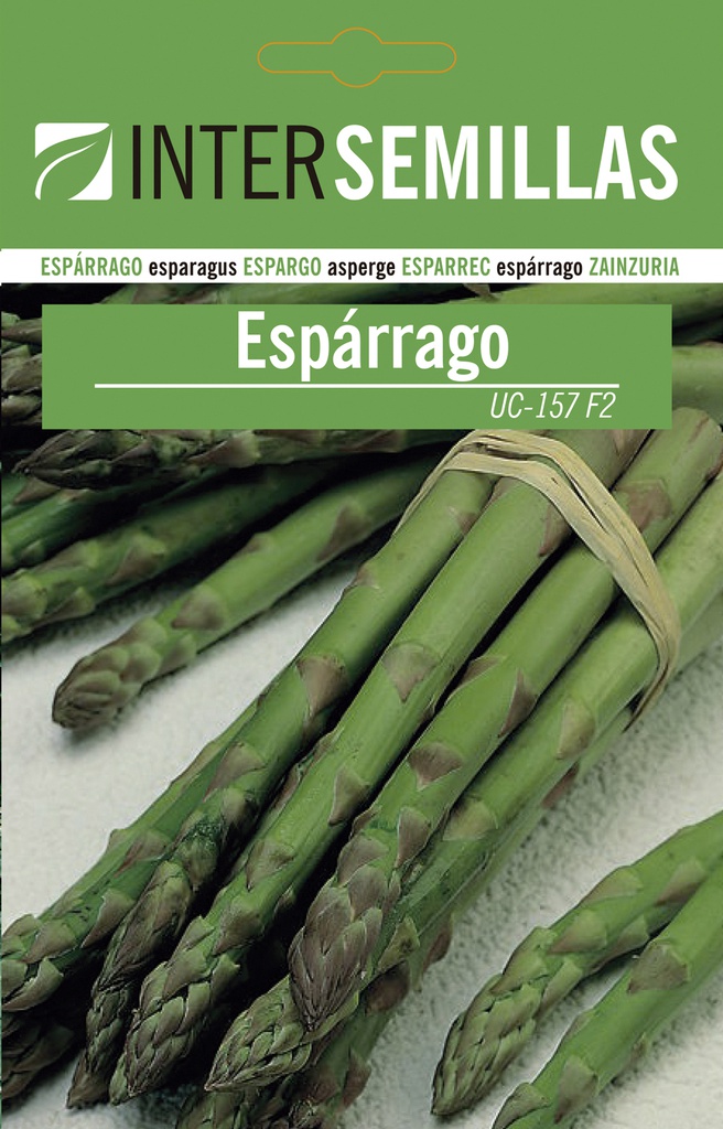 Espárrago