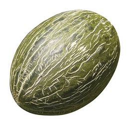 Melón piel de sapo