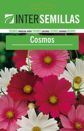 Cosmos