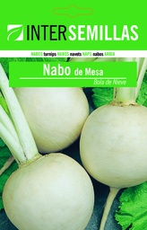 Nabo de mesa bola de nieve